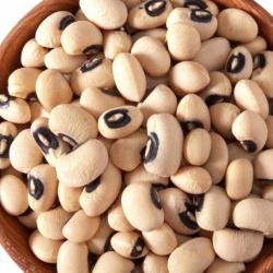 Beans buy on the wholesale