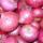 Репчатый лук розовый купить оптом - компания Horizon Exim | Индия