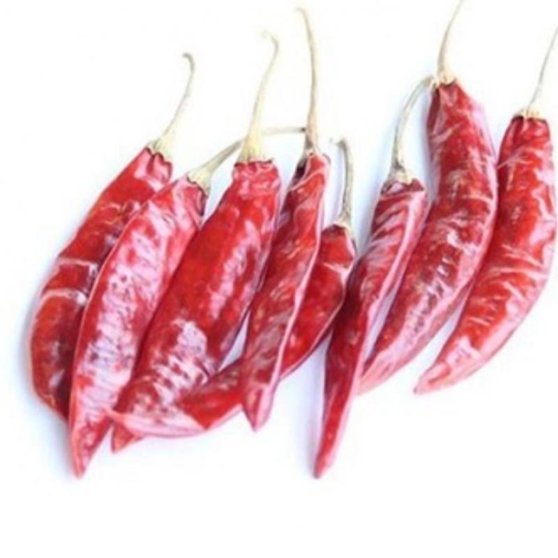 Red Chili buy wholesale - company Bhagavathi Exports | India