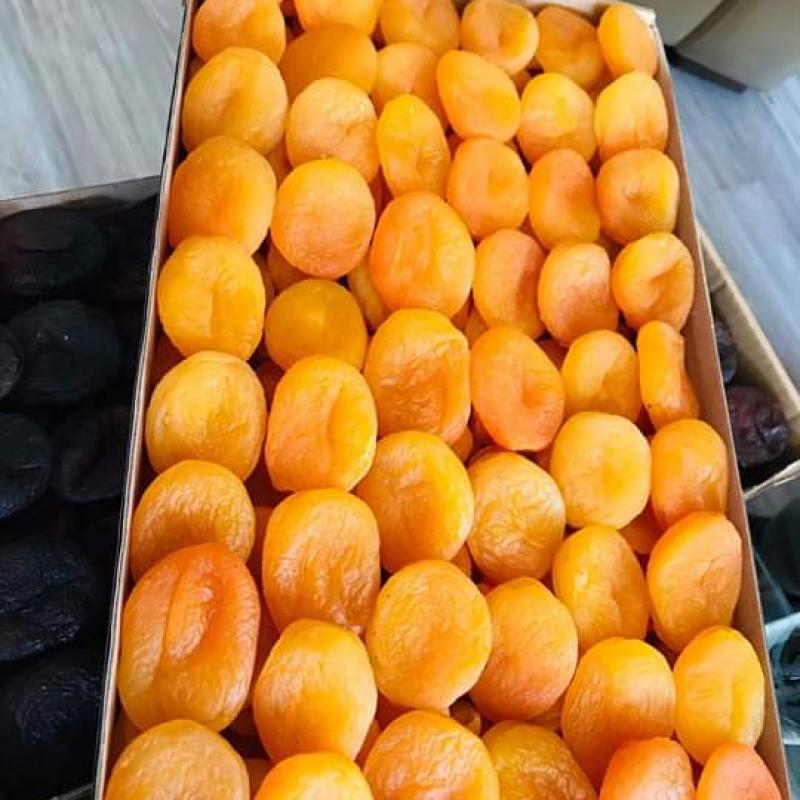 Dried Apricots buy wholesale - company chabane | Algeria