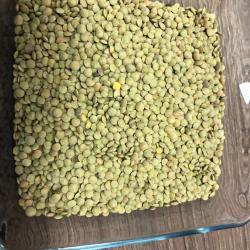 Green Lentils buy on the wholesale