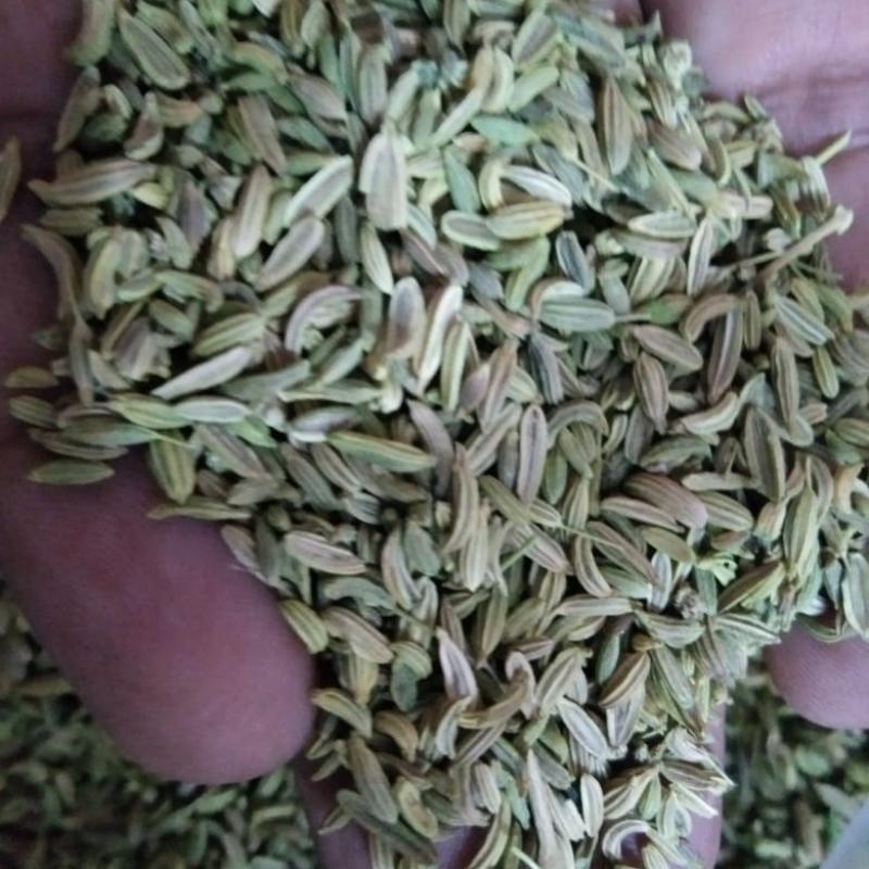 Семена фенхеля купить оптом - компания Mmas sdnbhd | Пакистан