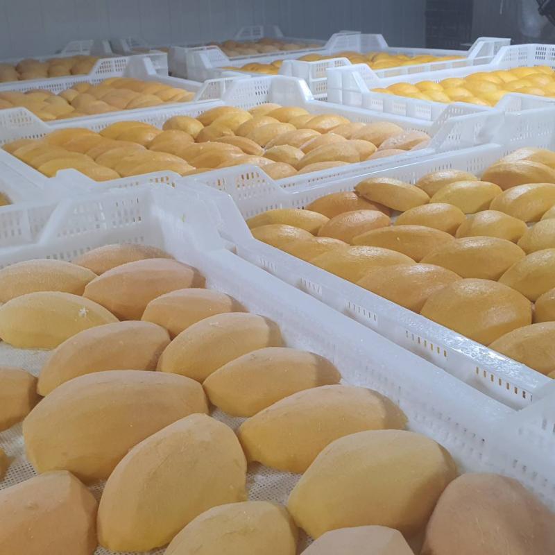 Frozen Halves Mango from factory of Vietnam buy wholesale - company Olmish Asia Food Co.Ltd | Vietnam