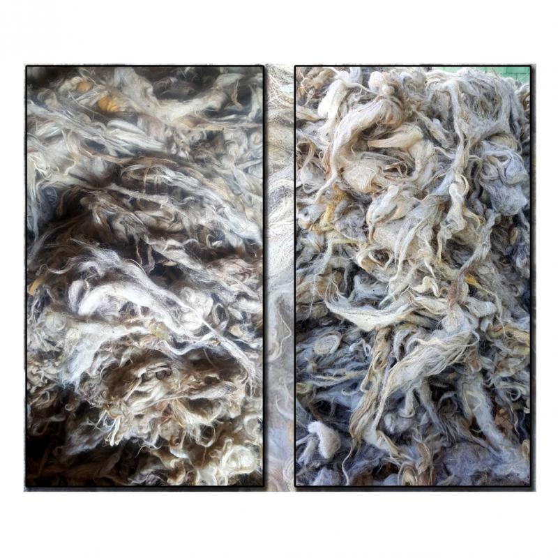 Washed Sheep Wool (Coarse and Semi-Coarse) buy wholesale - company Sanly acar | Turkmenistan