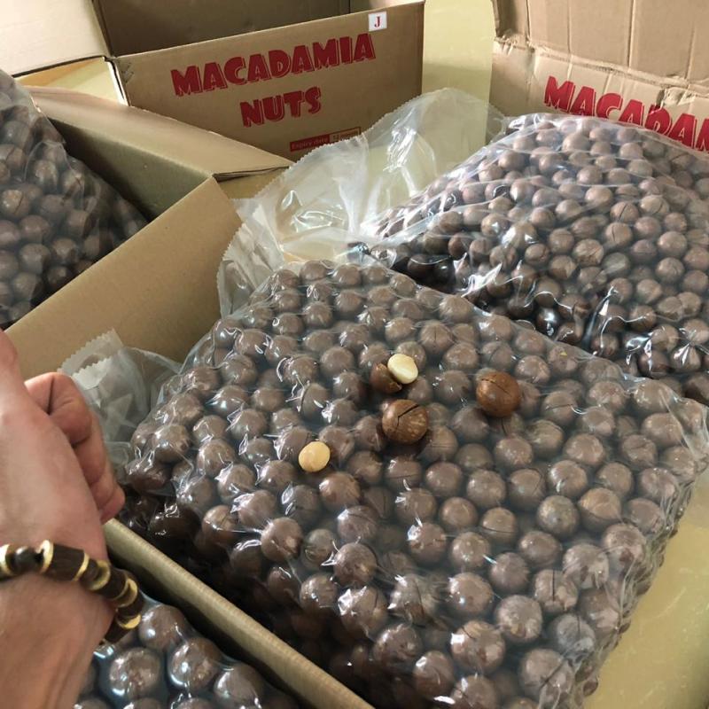 Macadamia Nuts from factory of Vietnam buy wholesale - company Olmish Asia Food Co.Ltd | Vietnam
