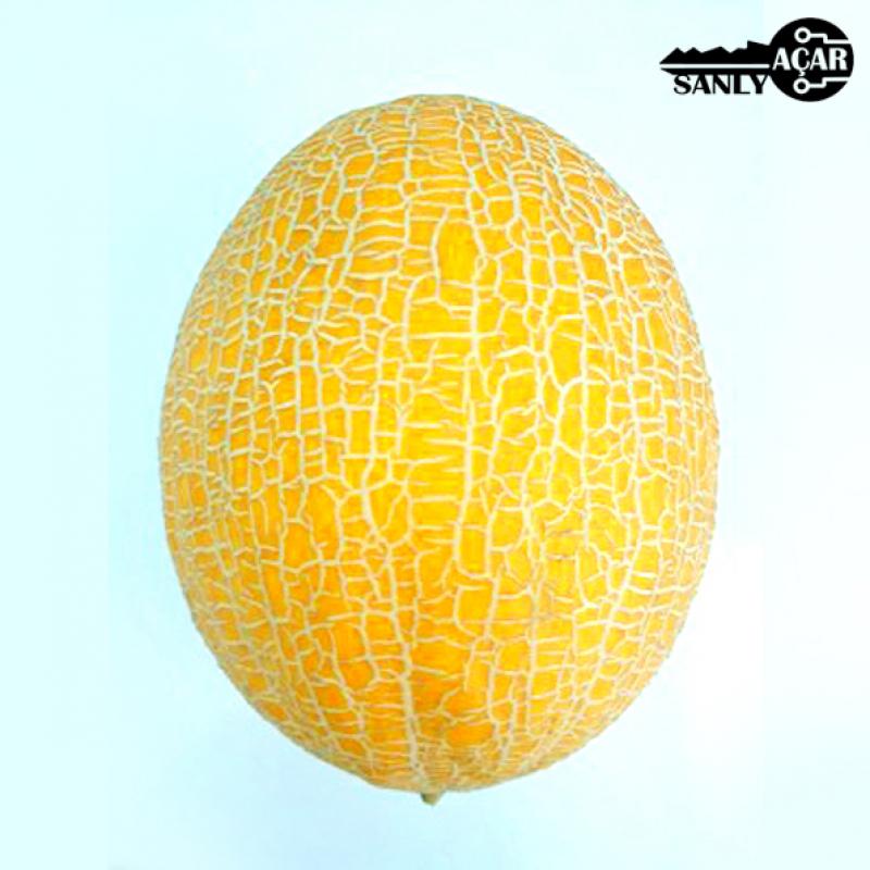 Fresh Melons buy wholesale - company Sanly acar | Turkmenistan