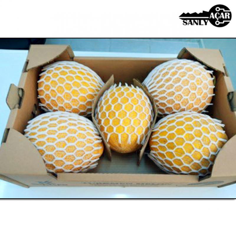 Fresh Melons buy wholesale - company Sanly acar | Turkmenistan