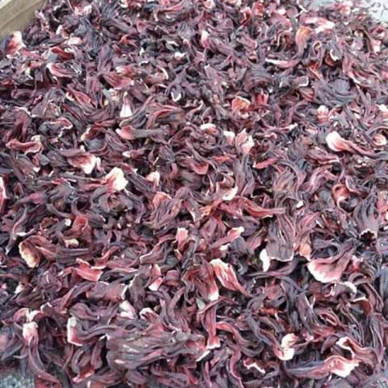 Hibiscus buy wholesale - company Challydonshop | Nigeria