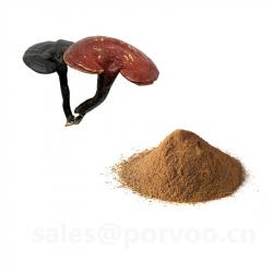 Organic Ganoderma Lucidum (Reishi Mushroom) Extract Powder 