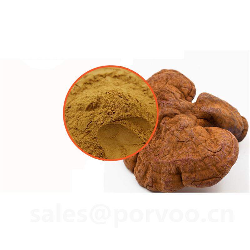 Organic Ganoderma Lucidum (Reishi Mushroom) Extract Powder  buy wholesale - company Shaanxi Porvoo Biotech Ltd | China