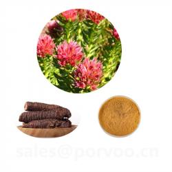 Rhodiola Rosea Extract Powder buy on the wholesale