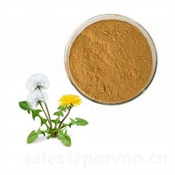 Dandelion Extract Powder  buy on the wholesale