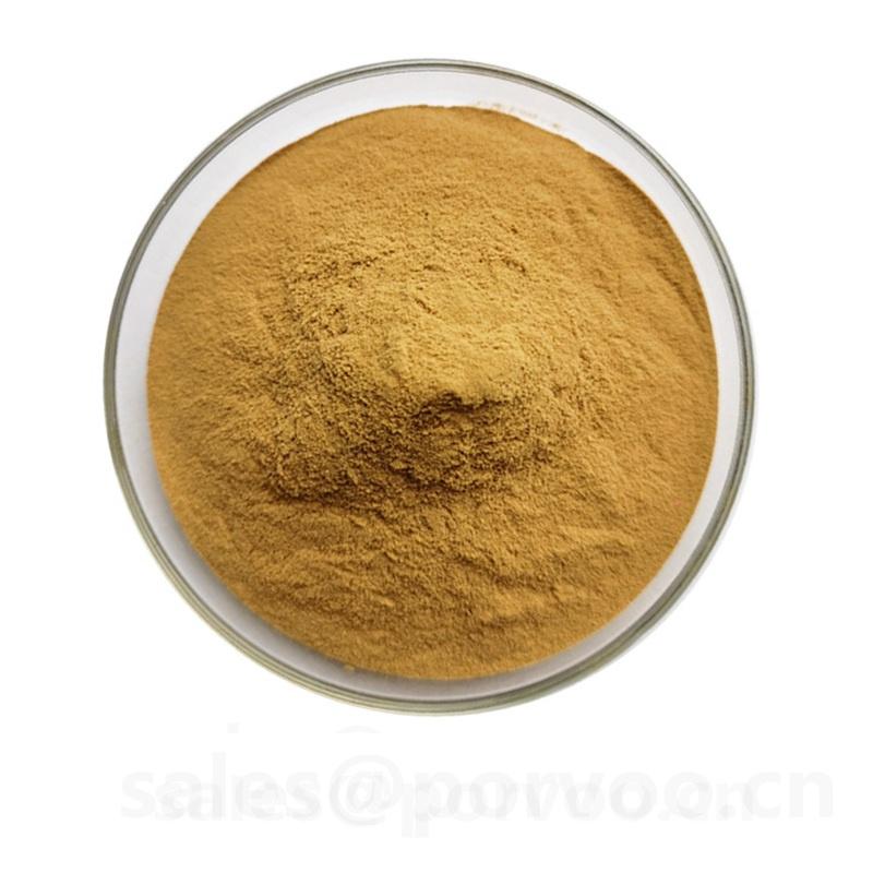 Dandelion Extract Powder  buy wholesale - company Shaanxi Porvoo Biotech Ltd | China
