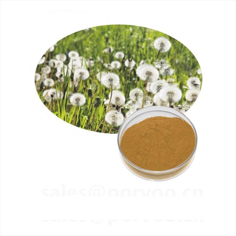 Dandelion Extract Powder  buy wholesale - company Shaanxi Porvoo Biotech Ltd | China