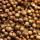 Coriander Seeds buy wholesale - company Peroxy global trade | India