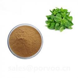 Holy Basil Extract Powder  buy on the wholesale
