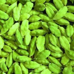 Green Cardamom  buy on the wholesale