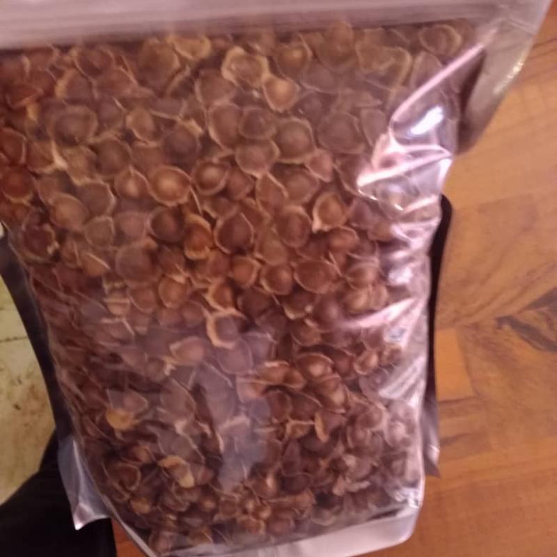 Moringa Seeds buy wholesale - company Challydonshop | Nigeria