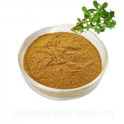 Natural Bacopa Extract Powder  buy on the wholesale