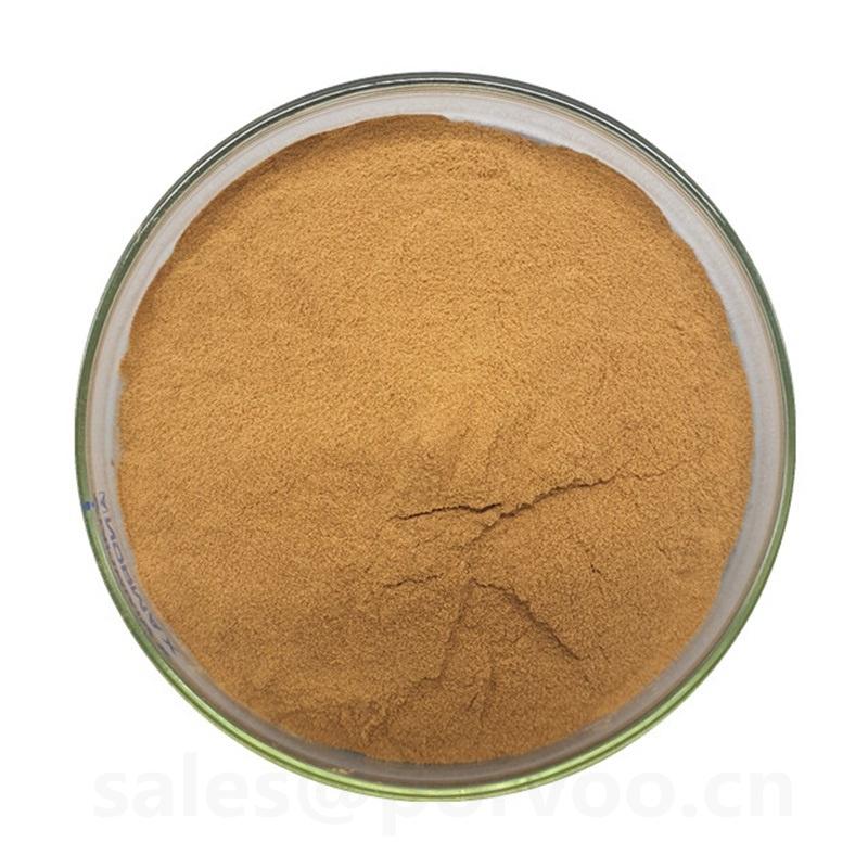 Natural Bacopa Extract Powder  buy wholesale - company Shaanxi Porvoo Biotech Ltd | China