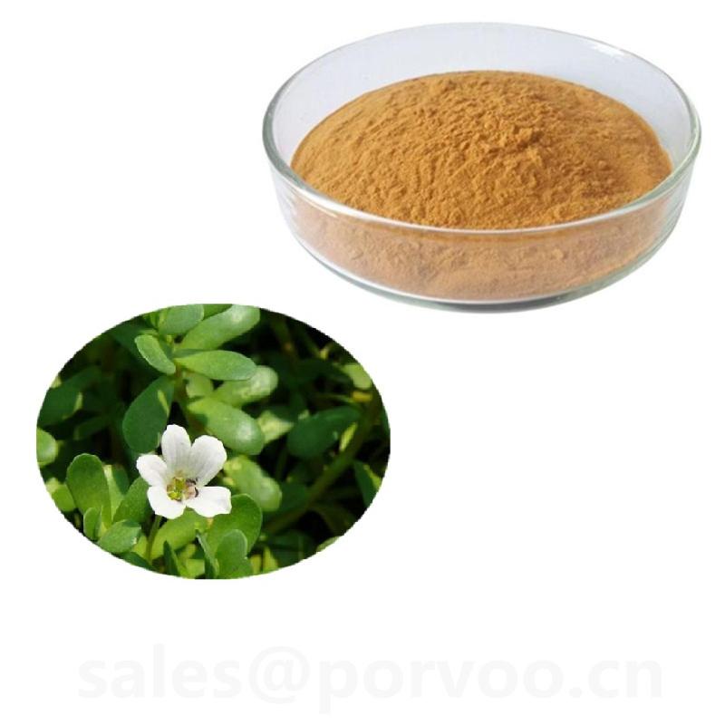 Natural Bacopa Extract Powder  buy wholesale - company Shaanxi Porvoo Biotech Ltd | China