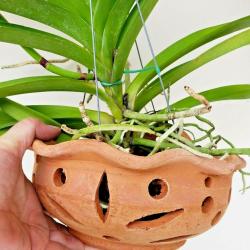 Terracotta Orchid Planters buy on the wholesale