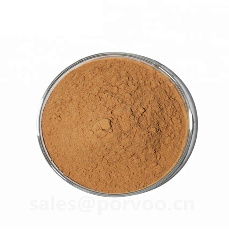 Sea Buckthorn Extract Powder buy wholesale - company Shaanxi Porvoo Biotech Ltd | China