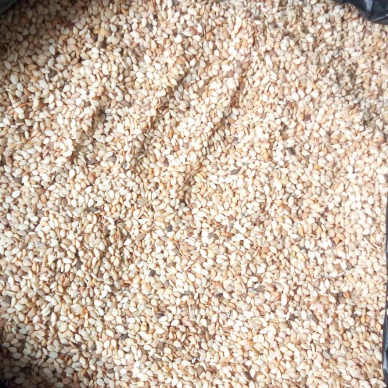 White Sesame Seeds buy wholesale - company Challydonshop | Nigeria
