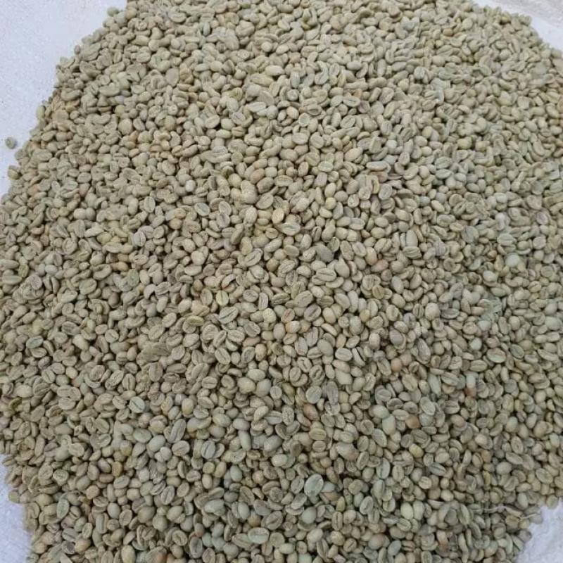 Red Coffee buy wholesale - company Red Coffee Trading PLC | Ethiopia