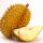Durian buy wholesale - company DONG DUONG AGRICULTURAL AND FORESTRY PRODUCTS IMPORT EXPORT, JSC | Vietnam