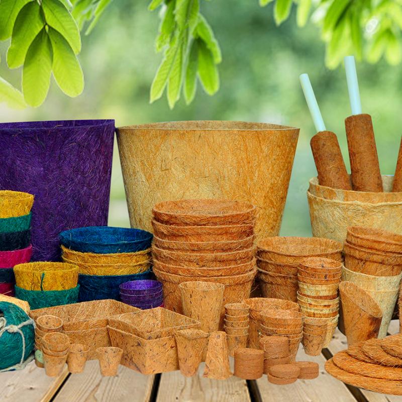 Coir Pots buy wholesale - company Ekococo Sri Lanka | Sri Lanka