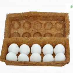 Egg trays buy on the wholesale