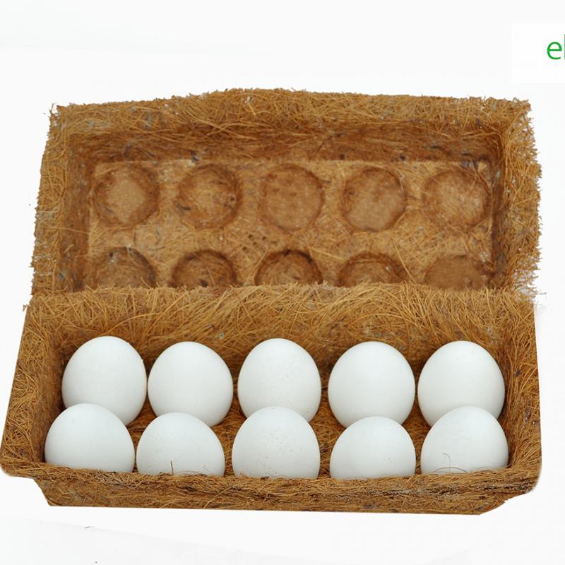 Egg trays buy wholesale - company Ekococo Sri Lanka | Sri Lanka