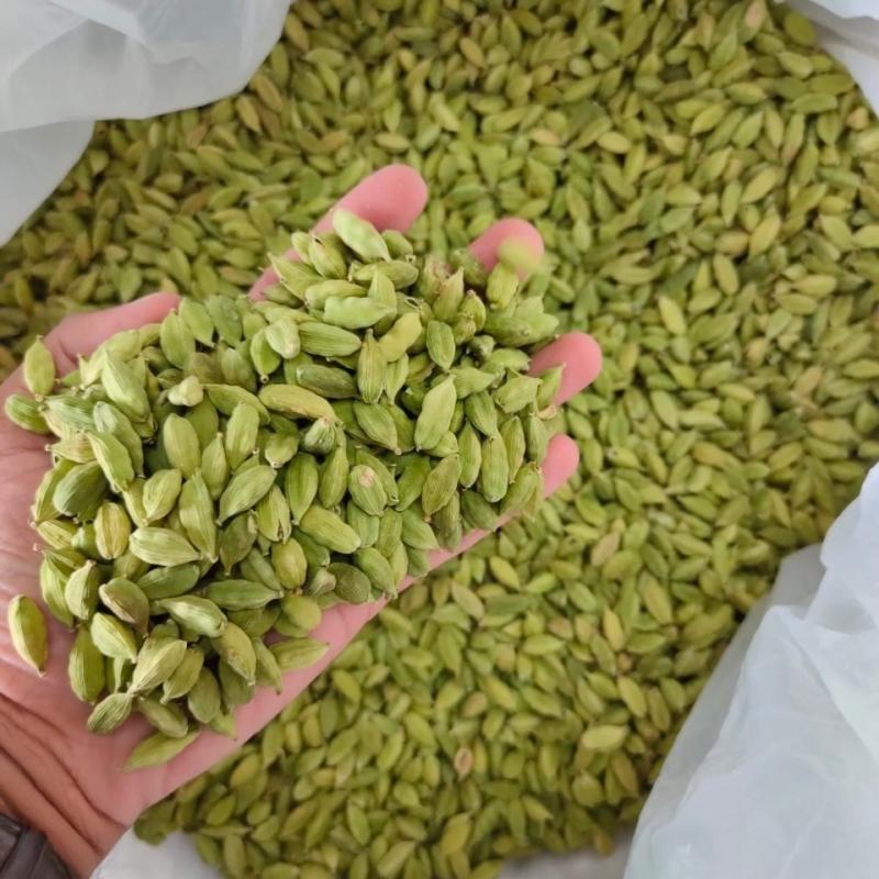 Cardamom Green buy wholesale - company Swastik One Private Limited | India