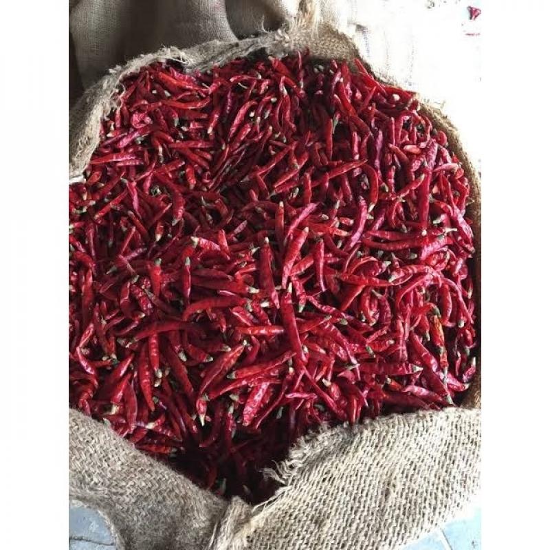 Red Chilli Dried купить оптом - компания Swastik One Private Limited | Индия