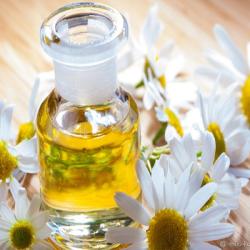 Chamomile Essential Oil buy on the wholesale