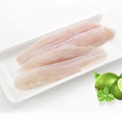 Frozen Panagsius Welltrimmed fillet buy on the wholesale