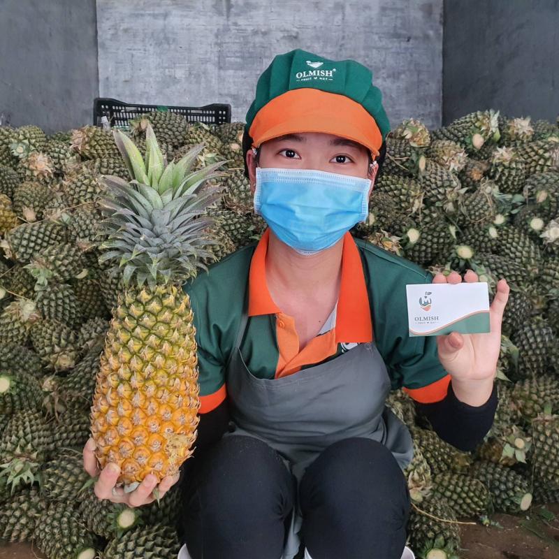 Canned Slice Pineapple from factory of Vietnam buy wholesale - company Olmish Asia Food Co.Ltd | Vietnam