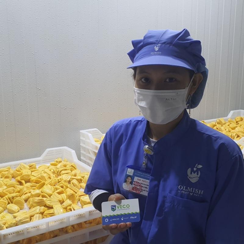 Frozen Pulp Jackfruit from factory of Vietnam buy wholesale - company Olmish Asia Food Co.Ltd | Vietnam