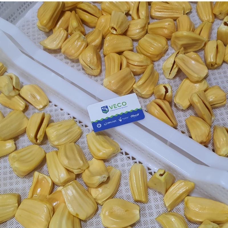 Frozen Pulp Jackfruit from factory of Vietnam buy wholesale - company Olmish Asia Food Co.Ltd | Vietnam