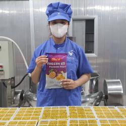 Frozen Puree cubes Passion fruit from factory of Vietnam buy on the wholesale