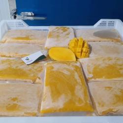 Frozen Puree Mango from factory of Vietnam buy on the wholesale