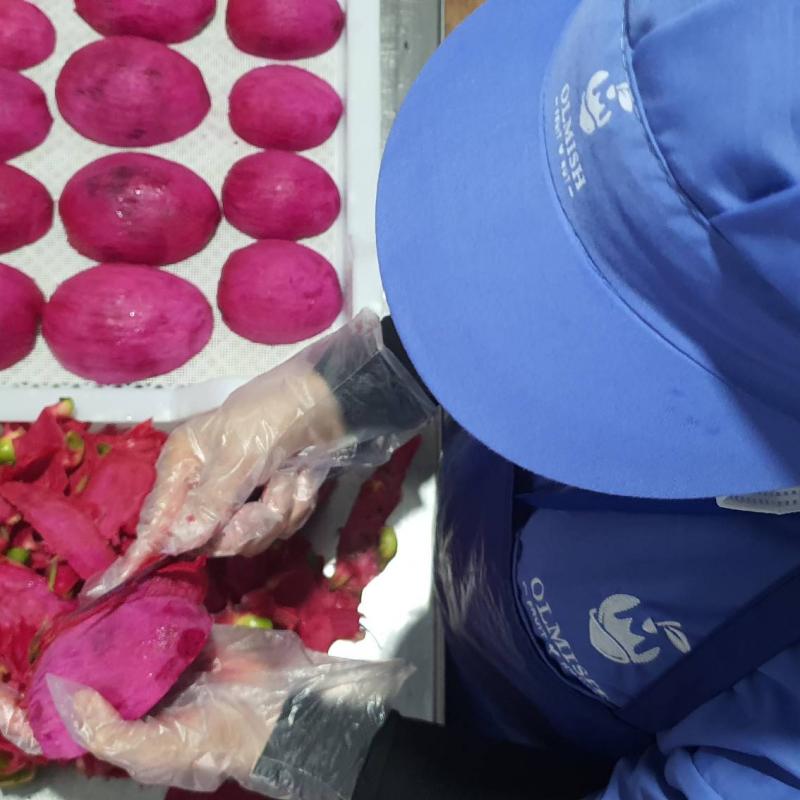 Frozen Dices Dragonfruit from factory of Vietnam buy wholesale - company Olmish Asia Food Co.Ltd | Vietnam