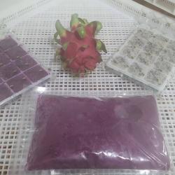 Frozen Puree Dragonfruit from factory of Vietnam buy on the wholesale