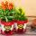 Decorative Winter Planter Table Planter set of 2 купить оптом - компания THe Handicraft Stores | Индия