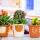 New Boho Designs Indoor Outdoor Planter set of 3   buy wholesale - company Karru Krafft | India