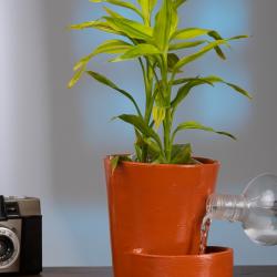 Unique Terracotta Self-Watering Planter