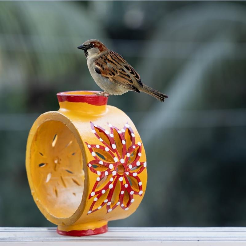 Wheel Throwing BirdFeeder and Home Stay купить оптом - компания Me Handicrafts Stores | Канада