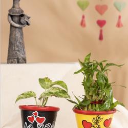 Glamorous Valentine Planter fashion quotient today buy on the wholesale