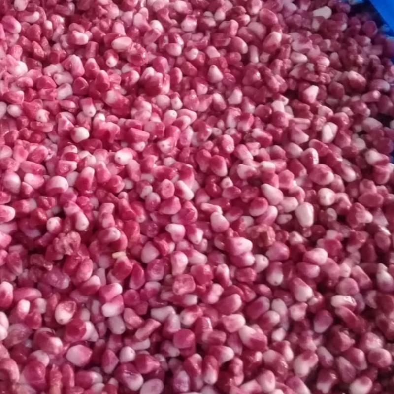 Frozen Pomegranate Seeds buy wholesale - company Green Valley for Import & Export | Egypt